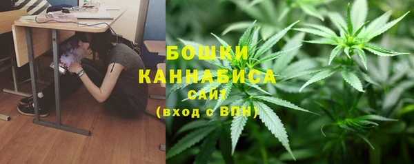 не бодяженный Ельня
