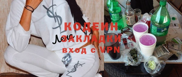 не бодяженный Ельня