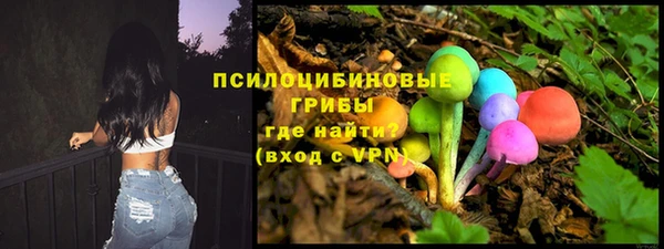 не бодяженный Ельня